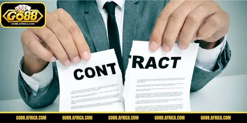 Cam kết và trách nhiệm giữa các bên